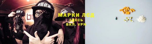 индика Краснотурьинск
