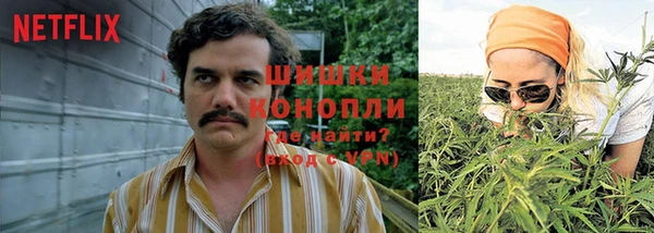 мдпв Кулебаки