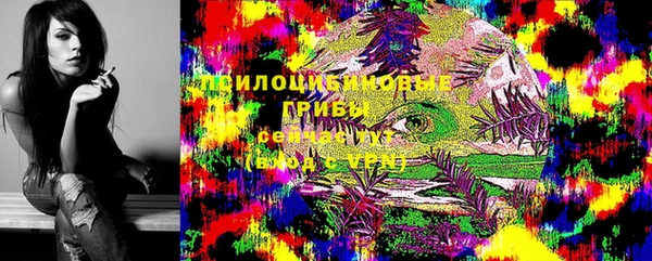 мдпв Кулебаки