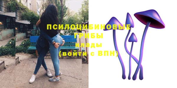 прущие крисы Краснослободск
