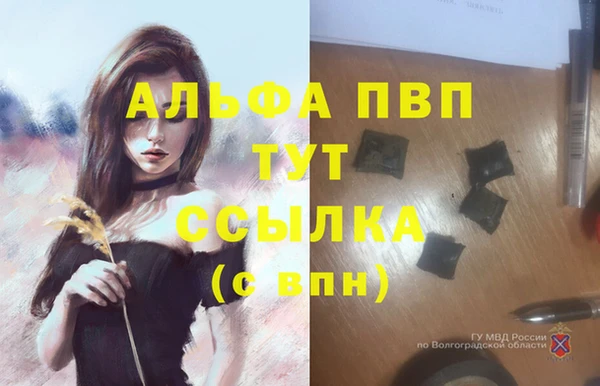 молекула духа Лабытнанги