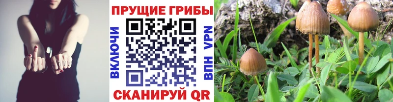 наркошоп Лесной Псилоцибиновые грибы мухоморы
