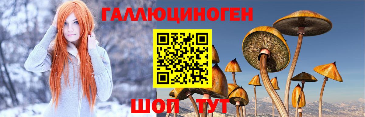 Галлюциногенные грибы Magic Shrooms  Лесной 