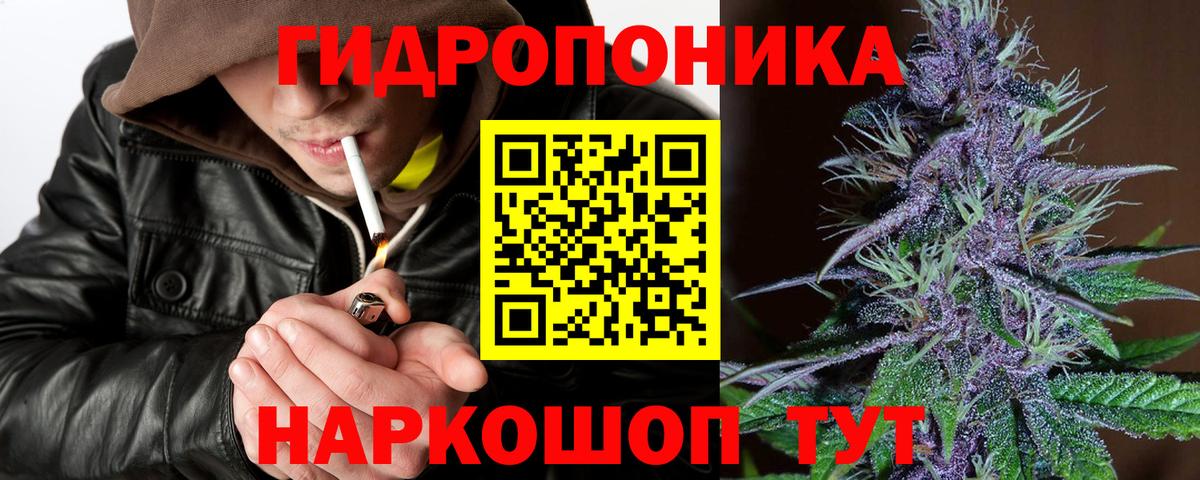 Каннабис марихуана Лесной